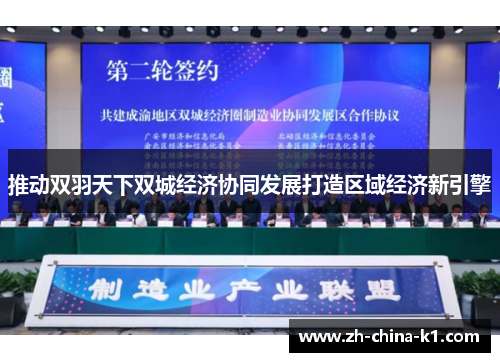 推动双羽天下双城经济协同发展打造区域经济新引擎