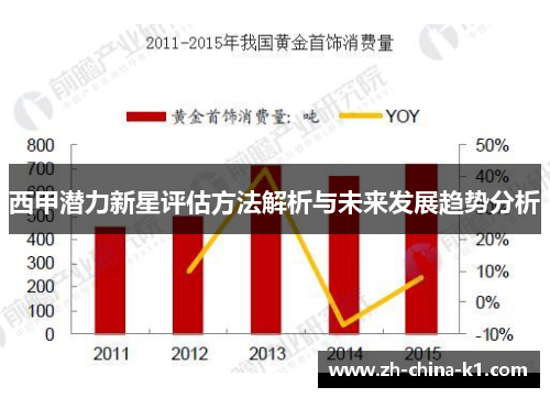 西甲潜力新星评估方法解析与未来发展趋势分析
