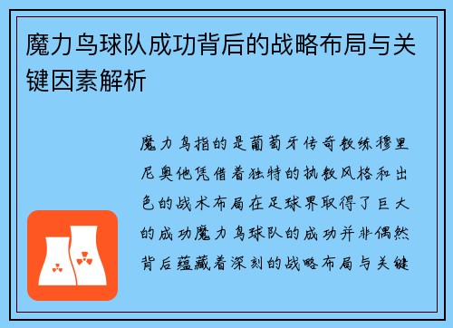 魔力鸟球队成功背后的战略布局与关键因素解析